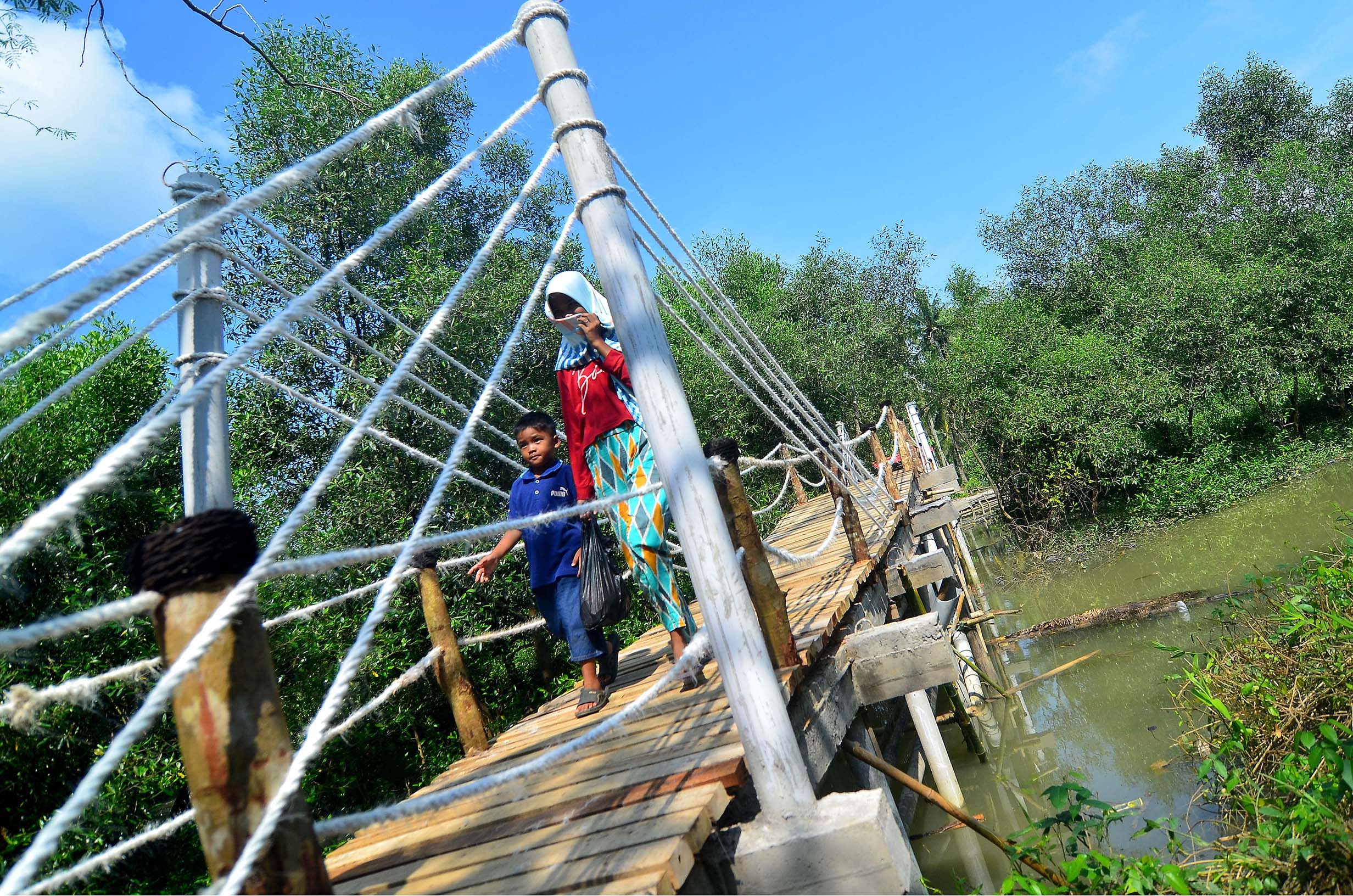 Kawasan Edo-Ekowisata Mangrove