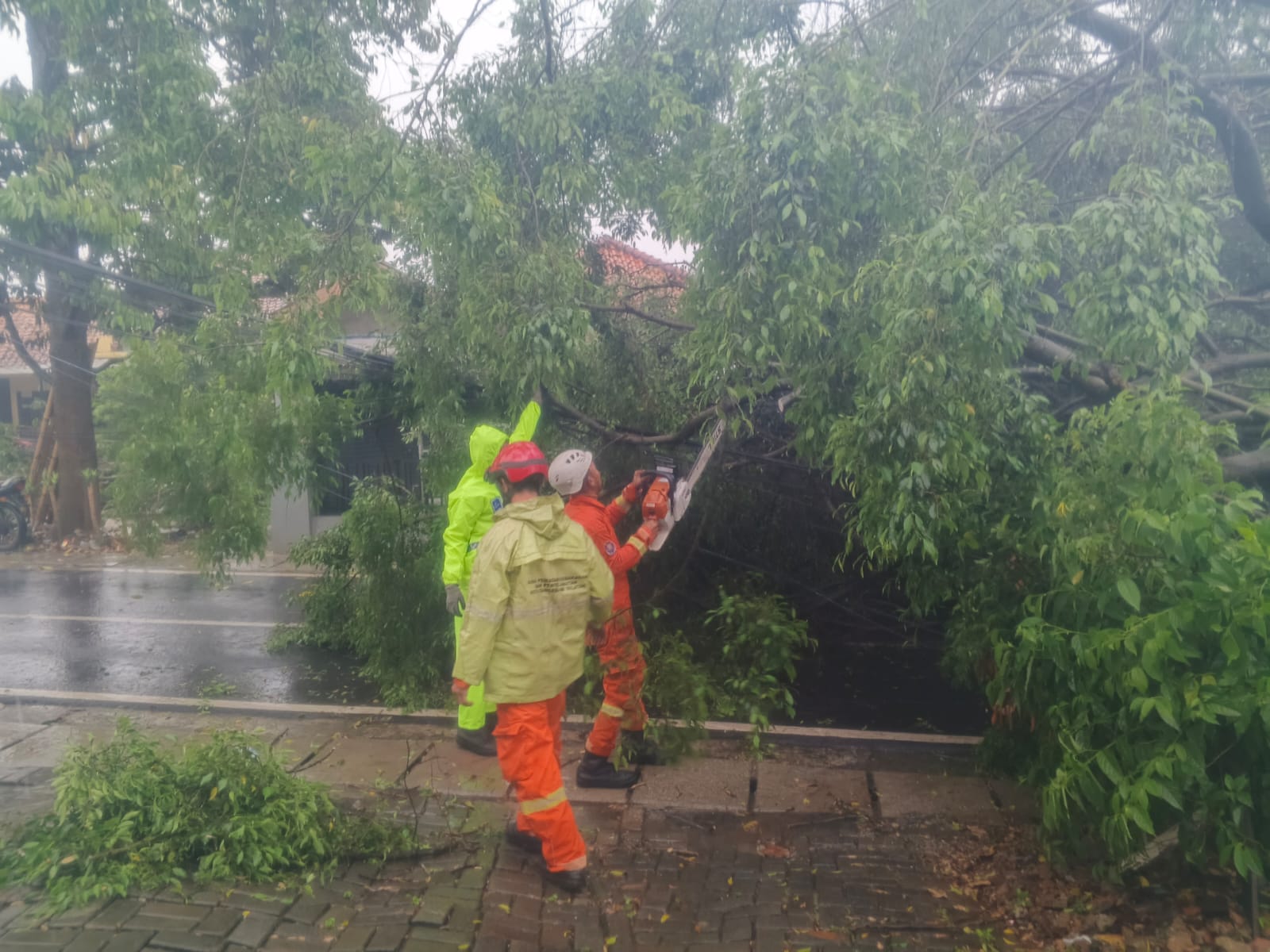 Petugas melakukan evakuasi pohon tumbang di Jelupang, Serpong Utara, Tangsel, Senin (04/08/2025). (Ist)
