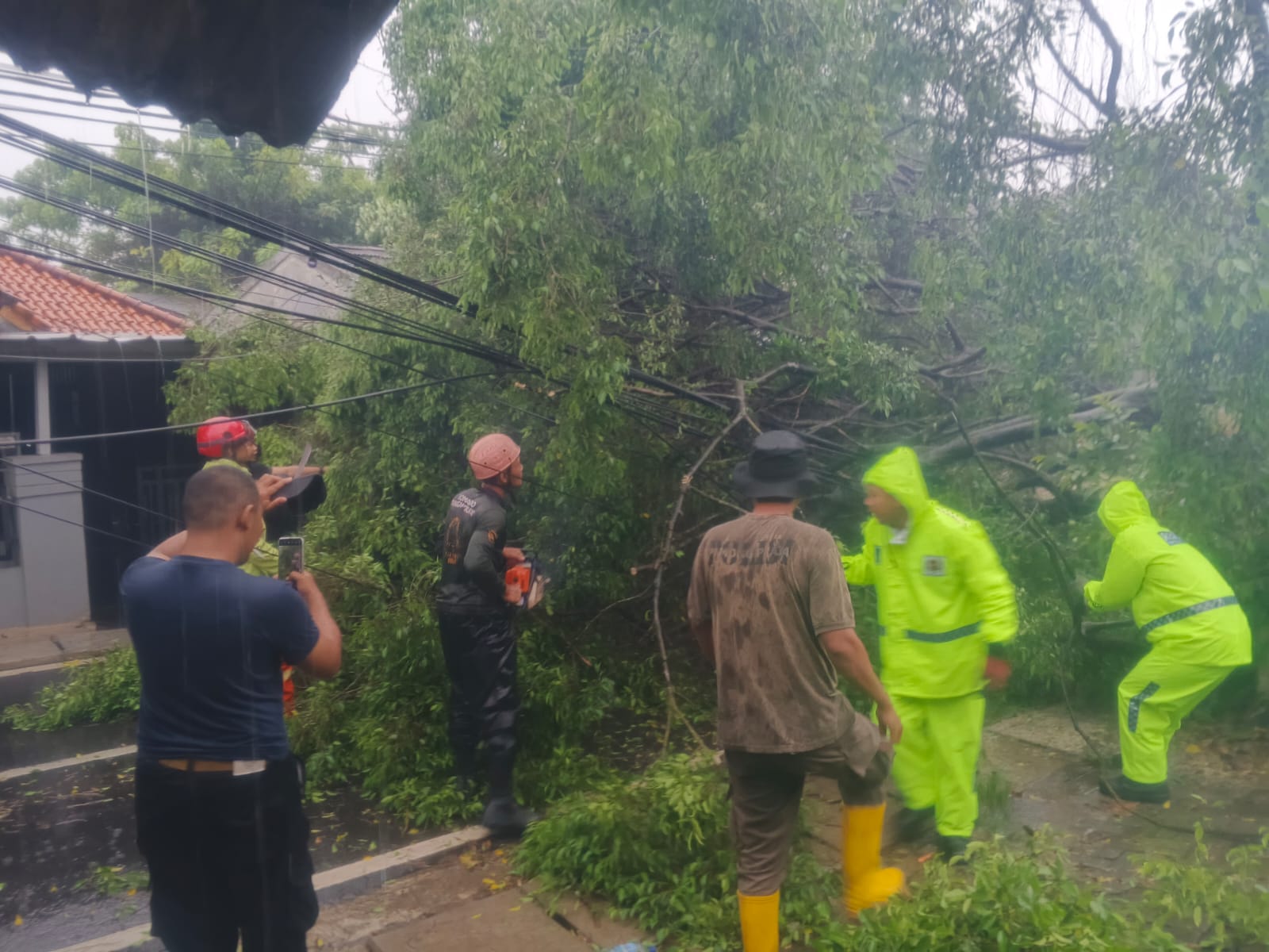 Petugas melakukan evakuasi pohon tumbang di Jelupang, Serpong Utara, Tangsel, Senin (04/08/2025). (Ist)