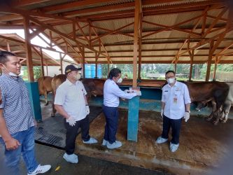 Dinas Ketahanan Pangan, Pertanian dan Perikanan Kota Tangerang Selatan dan Pemprov Banten saat mengecek kesehatan hewan kurban di Tangsel. (tangselpos.id/rmn)