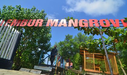 Kawasan Edo-Ekowisata Mangrove