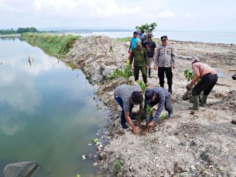 Warga di Desa Mekarsari, Kecamatan Panimbang, Kamis (16/6/2022) menanam ratusan pohon mangrove di sekitar lokasi tambak milik CV. Mitra Abyakta Wisesa.(Ari Supriadi/Tangsel Pos)