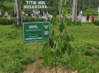 Pohon Sawo kepel yang ditanam Ganjar Pranowo di titik Nol IKN kini tumbuh subur. Foto : Instagram