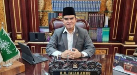 Nasyirul Falah Amru Anggota DPR RI Fraksi PDIP.  Foto : Istimewa