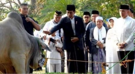 Presiden Joko Widodo Sebar Hewan Kurban Ke 34 Provinsi. (Dok. Setpres)