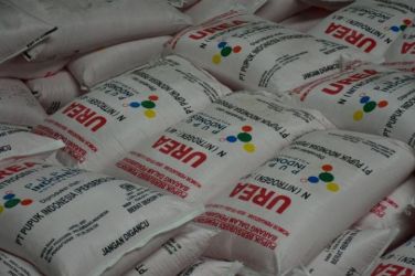 Kasihan Petani, Kini Cuma Dapat Subsidi 2 Jenis. (Ist)