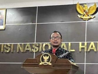 Komisioner Bidang Pemantauan dan Penyedikan Komnas HAM Choirul Anam. (Ist)