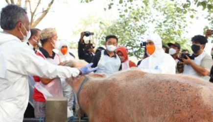 Menteri Pertanian kunjungi Pasar Grobogan, Jawa Tengah. (Ist)