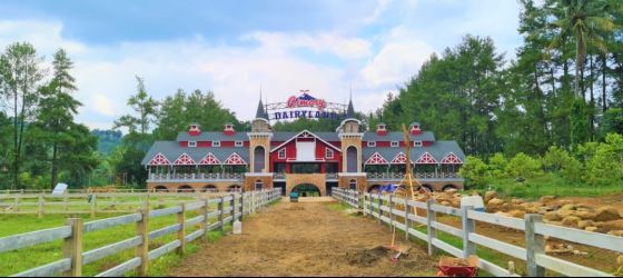 Mengusung tema Farm Leisure Park in the City, Cimory Dairyland BSD City akan dibangun di atas lahan seluas 3,5 hektare. (ist)