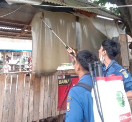 Hama ulat bulu teror puluhan rumah di Cikupa, Kabupaten Tangerang. (tangselpos.id/rmn)