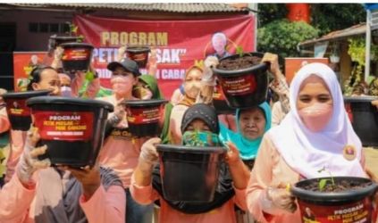 Relawan Mak Ganjar bagikan pohon cabe untuk emak-emak se-DKI Jakarta. (Ist)
