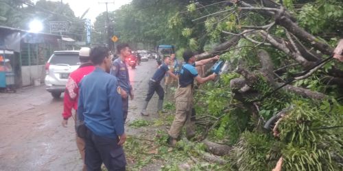 Tim BPBD Kabupaten Tangerang saat mengevakuasi pohon tumbang (ist)