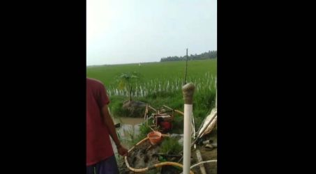 Foto : Istimewa