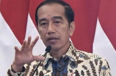 Presiden Jokowi. (Ist)