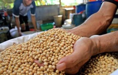 Perajin tahu tempe. (Ist)