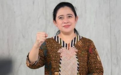 Ketua DPP PDIP Puan Maharani. Foto : Istimewa