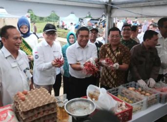 Pj Gubernur Banten Al Muktabar saat panen cabe merah. Foto : Istimewa