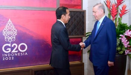 Presiden Jokowi saat menerima kunjungan Presiden Turki Recep Tayyip Erdogan disele-sela acara G20 di Bali. (Foto : Setpres)