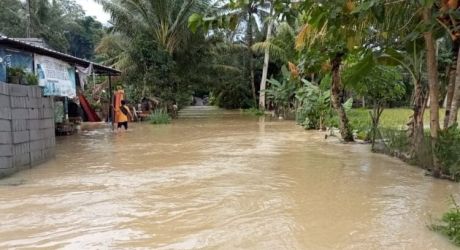 Area persawahan di Kabupaten yang terendam banjir.