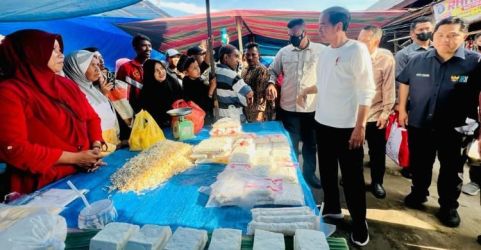Presiden Jokowi didampingi Menteri BUMN Erick Thohir saat meninjau ke Pasar Batuphat Timur, Kota Lhokseumawe. (Foto : Setpres)