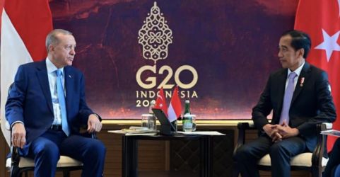 Presiden Jokowi dan Presiden Turki saat acara G20 di Bali.
