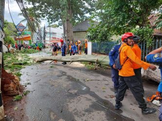 Petugas BPBD Kota Tangsel tengah melakukan evakuasi terhadap pohon tumbang. Hujan deras serta angin kencang pada kamis (9/2) menyebabkan pohon tumbang di beberapa titik Kota Tangsel.