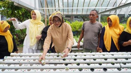 Airin Rachmi Diany menanam sayuran hidroponik ketika mengunjungi KWT, di Ciledug, Kota Tangerang, Sabtu (11/3).