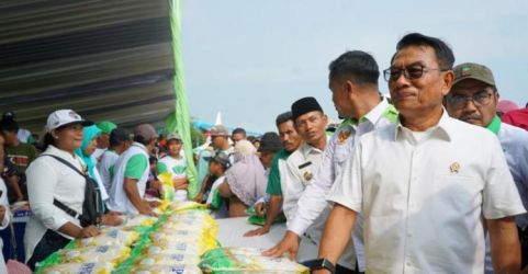 Ketua KSP Moeldoko (depan) saat menghadiri panen raya di Jember, Jawa Timur. (Ist)