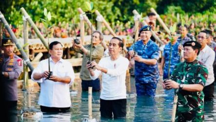 Presiden Jokowi saat menanam Mangrove. Foto : Setpres