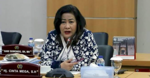 Anggota DPRD DKI Jakarta FPDIP Cinta Mega. Foto : Ist