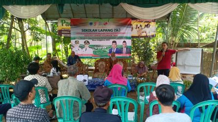Kegiatan Sekolah Lapang di Saung Pertemuan Gapoktan Sugema di Kampung Cicadas, Kelurahan Pandeglang, Kecamatan Pandeglang, Senin (21/8/2023).(Istimewa)