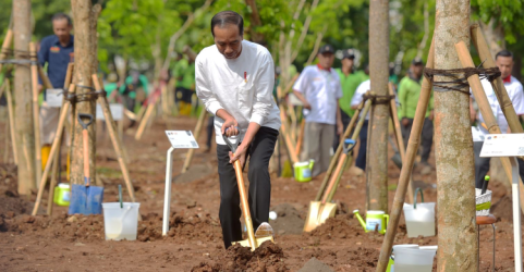 Presiden Jokowi menghadiri acara Gerakan Tanam Pohon Bersama di Hutan JIEP Kawasan Industri Pulo Gadung, Jakarta Timur, Rabu (29/11/2023). (Foto: Setpres)
