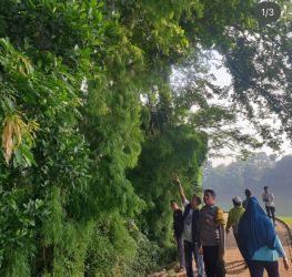 Polisi tengah melakukan olah TKP pesepeda yang tertimpa pohon di kawasan Situ Gintung, Kecamayan Ciputat Timur.(dra)