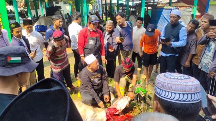 Peserta antusias mengikuti pelatihan penyembelihan hewan kurban yang digelar MUI Tangsel.(dra)
