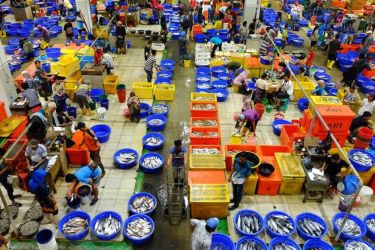 Pelelangan ikan di Muara Baru Jakut. Foto : Ist