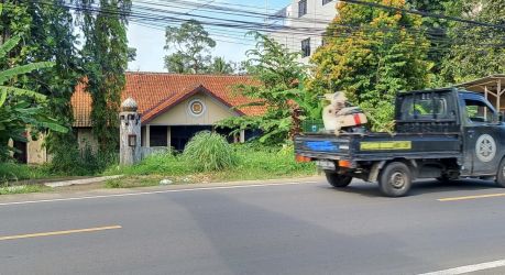Suasana Eks Kantor Distamben Kabupaten Pandeglang, terlihat kumuh akibat dibiarkan atau tidak dirawat