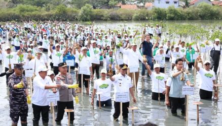 Wapres Gibran (no 1 depan) saat menanam Mangrove di Taman Mangrove Ketapang, Kecamatan Mauk, Kabupaten Tangerang. Foto : Ist