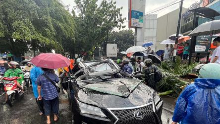 Mobil yang tertimpa pohon mengakibatkan pengendaranya meninggal. Foto : Ist