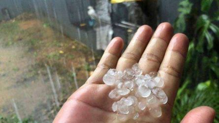 Ilustrasi. Foto : Ist