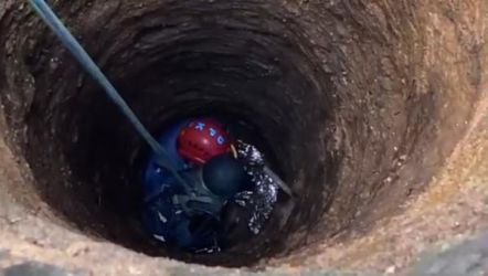 Ilustrasi. Foto : Ist