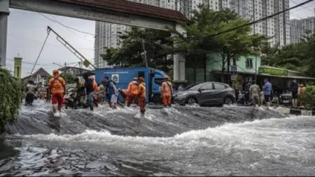 Ilustrasi. Foto : Ist