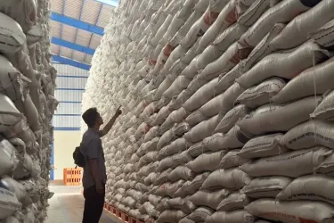 Stok beras di gudang Bulog. Foto : Ist