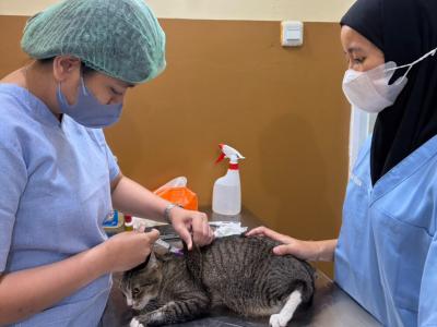 DKPPP Tangsel menggelar vaksinasi rabies massal bagi hewan peliharaan, Selasa (29/9). (TangselPos/Rachman)