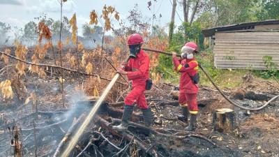 Foto : Ist